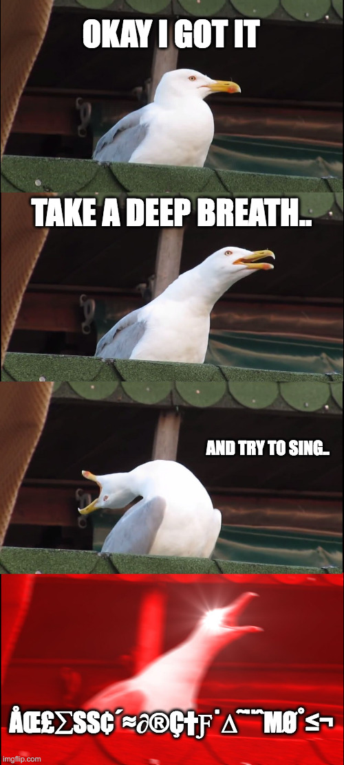 antimeme #2 | OKAY I GOT IT; TAKE A DEEP BREATH.. AND TRY TO SING.. ÅŒ£∑SS¢´≈∂®Ç†Ƒ˙∆˜¨ˆΜØ˚≤¬ | image tagged in memes,inhaling seagull | made w/ Imgflip meme maker