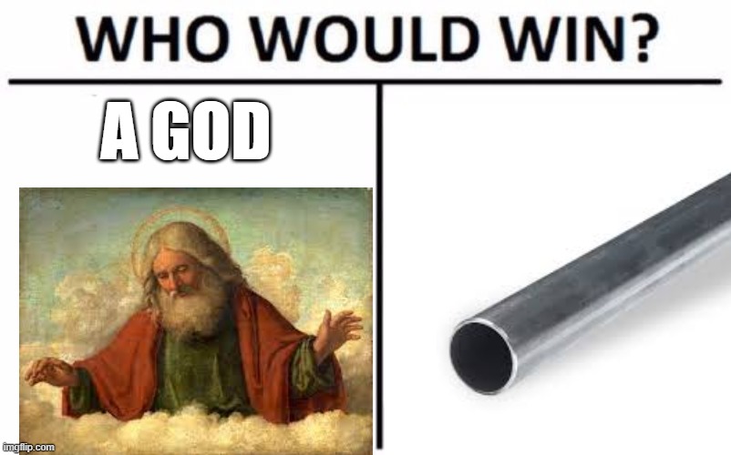 Who Would Win? Meme | A GOD | image tagged in memes,who would win | made w/ Imgflip meme maker
