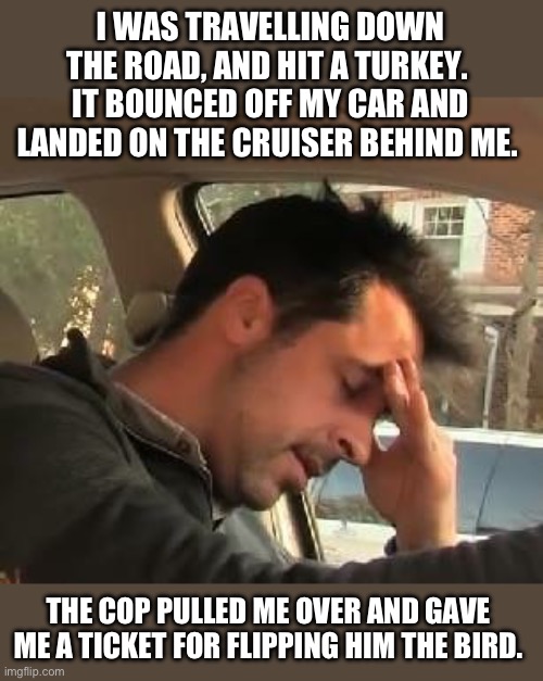 Bird | I WAS TRAVELLING DOWN THE ROAD, AND HIT A TURKEY.  IT BOUNCED OFF MY CAR AND LANDED ON THE CRUISER BEHIND ME. THE COP PULLED ME OVER AND GAVE ME A TICKET FOR FLIPPING HIM THE BIRD. | image tagged in face palm | made w/ Imgflip meme maker