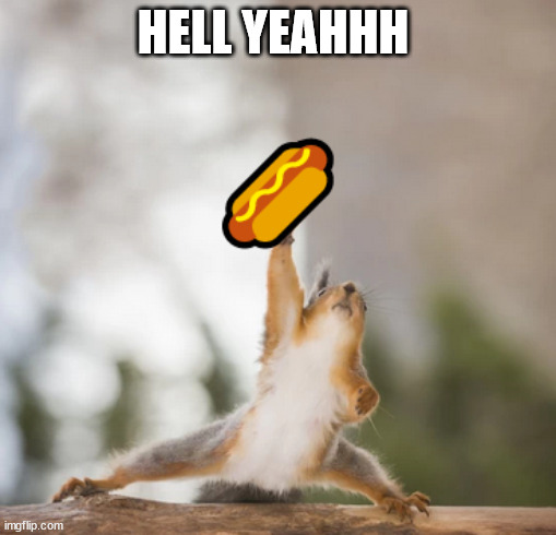 Hell yeah | HELL YEAHHH | image tagged in squirrel,funny,cute animals,hotdog | made w/ Imgflip meme maker