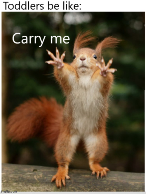 Carry me | image tagged in toddler,squirrel,funny memes | made w/ Imgflip meme maker