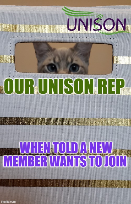 The Watcher | OUR UNISON REP; WHEN TOLD A NEW MEMBER WANTS TO JOIN | image tagged in the watcher | made w/ Imgflip meme maker