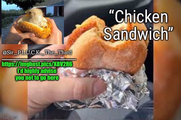 Chicken sandwich (thanks behapp) | https://imghost.pics/XBV2R6
I’d highly advise you not to go here | image tagged in chicken sandwich thanks behapp | made w/ Imgflip meme maker