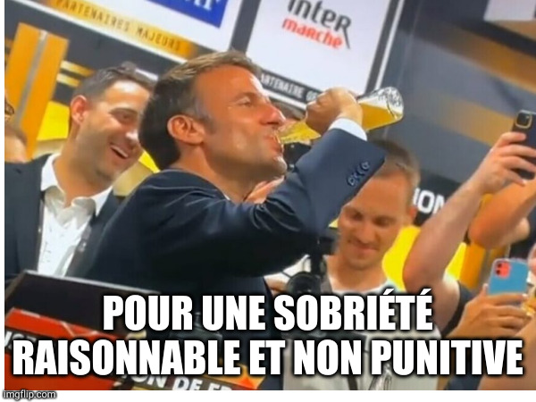 POUR UNE SOBRIÉTÉ RAISONNABLE ET NON PUNITIVE | made w/ Imgflip meme maker