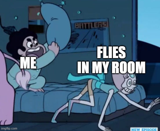 Steven Universe | FLIES IN MY ROOM; ME | image tagged in steven universe | made w/ Imgflip meme maker