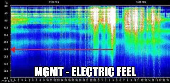 MGMT - ELECTRIC FEEL | image tagged in schumann resonance | made w/ Imgflip meme maker