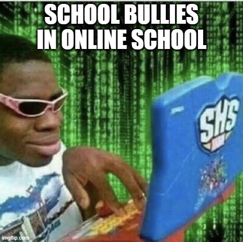 Bullies while covid | SCHOOL BULLIES IN ONLINE SCHOOL | image tagged in ryan beckford,school bully,memes,school memes,hackers,online school | made w/ Imgflip meme maker