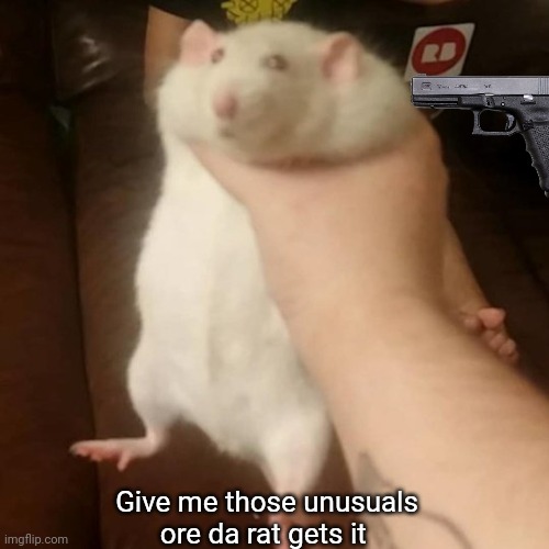 Grabbing a fat rat | Give me those unusuals ore da rat gets it | image tagged in grabbing a fat rat | made w/ Imgflip meme maker