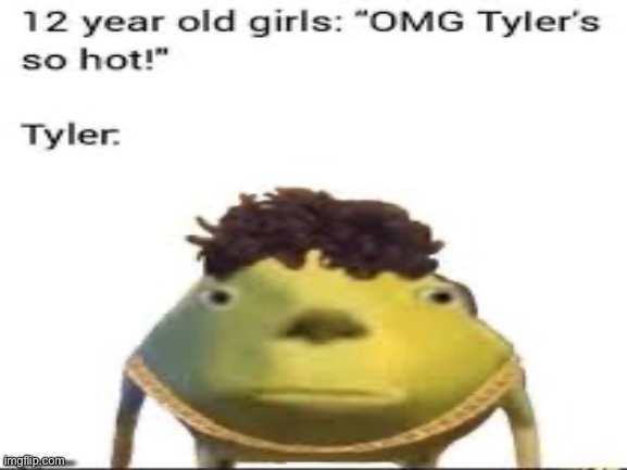 Tyler??? | image tagged in mike wazowski,tyler,girls,ugly,hot,ha ha tags go brr | made w/ Imgflip meme maker