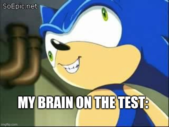 Derp sonic | MY BRAIN ON THE TEST: | image tagged in derp sonic | made w/ Imgflip meme maker