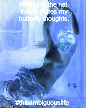 Writing is the net that captures my butterfly thoughts. #thisambiguouslife | image tagged in gilded cage inverted | made w/ Imgflip meme maker
