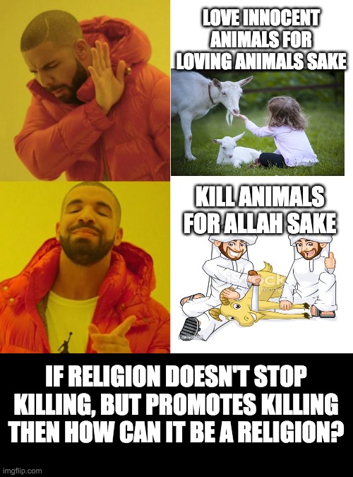 Drake Blank | LOVE INNOCENT ANIMALS FOR LOVING ANIMALS SAKE; KILL ANIMALS FOR ALLAH SAKE; IF RELIGION DOESN'T STOP KILLING, BUT PROMOTES KILLING THEN HOW CAN IT BE A RELIGION? | image tagged in drake blank | made w/ Imgflip meme maker