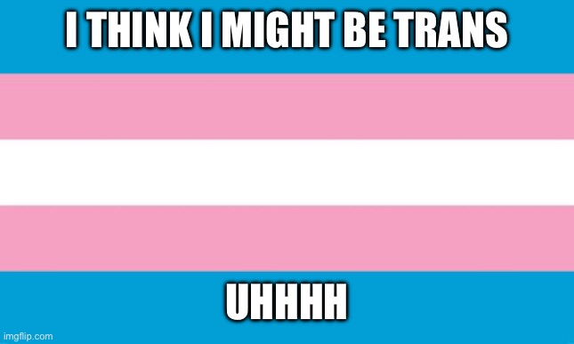 Transgender Flag | I THINK I MIGHT BE TRANS; UHHHH | image tagged in transgender flag | made w/ Imgflip meme maker