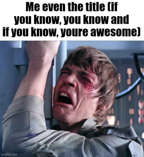 Luke NOooooo | Me even the title (if you know, you know and if you know, youre awesome) | image tagged in luke noooooo | made w/ Imgflip meme maker