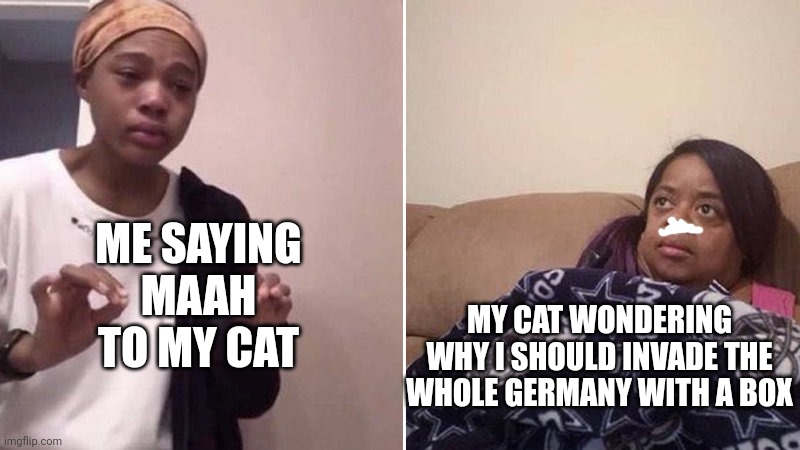 Me explaining to my mom | ME SAYING MAAH TO MY CAT; MY CAT WONDERING WHY I SHOULD INVADE THE WHOLE GERMANY WITH A BOX | image tagged in me explaining to my mom | made w/ Imgflip meme maker