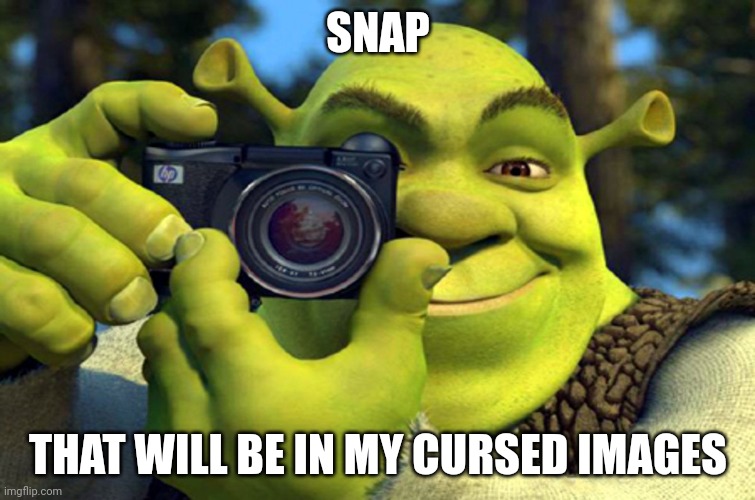 shrek camera | SNAP THAT WILL BE IN MY CURSED IMAGES | image tagged in shrek camera | made w/ Imgflip meme maker