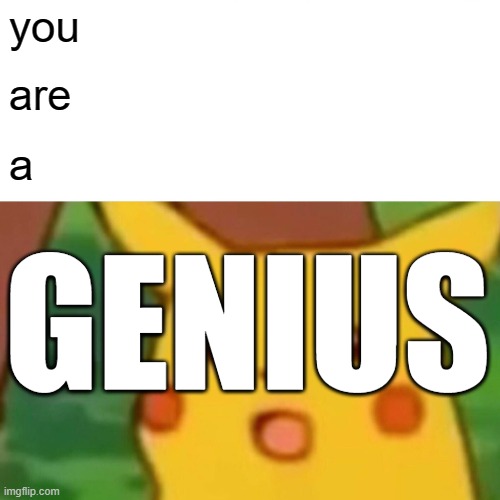Surprised Pikachu Meme | you are a GENIUS | image tagged in memes,surprised pikachu | made w/ Imgflip meme maker