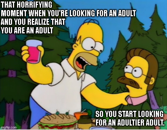 Adultier Adult | THAT HORRIFYING MOMENT WHEN YOU'RE LOOKING FOR AN ADULT
AND YOU REALIZE THAT 
YOU ARE AN ADULT; SO YOU START LOOKING FOR AN ADULTIER ADULT. | image tagged in homer and ned | made w/ Imgflip meme maker