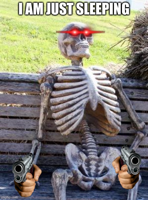 Waiting Skeleton | I AM JUST SLEEPING | image tagged in memes,waiting skeleton | made w/ Imgflip meme maker