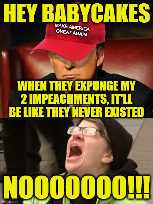 Trump Hat No | HEY BABYCAKES; MAKE AMERICA
GREAT AGAIN; WHEN THEY EXPUNGE MY 2 IMPEACHMENTS, IT'LL BE LIKE THEY NEVER EXISTED; NOOOOOOO!!! | image tagged in trump hat no | made w/ Imgflip meme maker