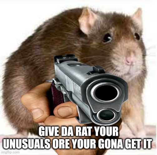 Give da rat your unusual collection | GIVE DA RAT YOUR UNUSUALS ORE YOUR GONA GET IT | image tagged in robbery | made w/ Imgflip meme maker