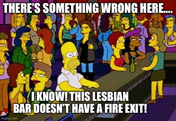 Lesbian Homer | THERE’S SOMETHING WRONG HERE…. I KNOW! THIS LESBIAN BAR DOESN’T HAVE A FIRE EXIT! | image tagged in homer bar | made w/ Imgflip meme maker