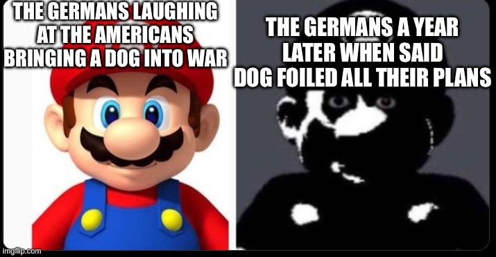 Mario and cursed mario | THE GERMANS LAUGHING AT THE AMERICANS BRINGING A DOG INTO WAR THE GERMANS A YEAR LATER WHEN SAID DOG FOILED ALL THEIR PLANS | image tagged in mario and cursed mario | made w/ Imgflip meme maker