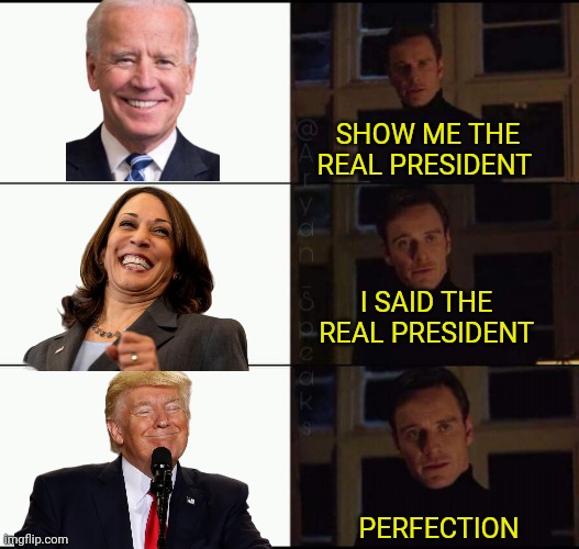 trump 2024 | SHOW ME THE REAL PRESIDENT; I SAID THE REAL PRESIDENT; PERFECTION | image tagged in show me the real,joe biden,donald trump,kamala harris | made w/ Imgflip meme maker
