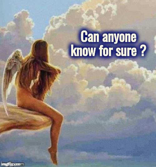 Angel thoughts | Can anyone know for sure ? | image tagged in angel thoughts | made w/ Imgflip meme maker