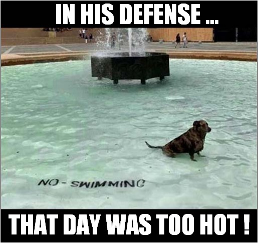 One Cool Dog ! | IN HIS DEFENSE ... THAT DAY WAS TOO HOT ! | image tagged in dogs,too hot,cool,fountain | made w/ Imgflip meme maker