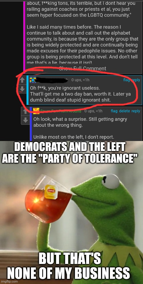 The party of tolerance and acceptance. | DEMOCRATS AND THE LEFT ARE THE "PARTY OF TOLERANCE"; BUT THAT'S NONE OF MY BUSINESS | image tagged in memes,but that's none of my business | made w/ Imgflip meme maker