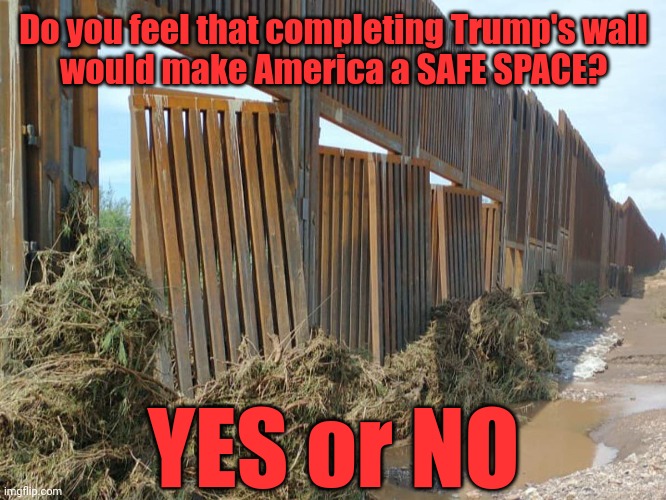 Do your walls keep others out? Or keep you in? | Do you feel that completing Trump's wall
would make America a SAFE SPACE? YES or NO | image tagged in donald trump,build the wall,safe space,america,feelings,logic | made w/ Imgflip meme maker
