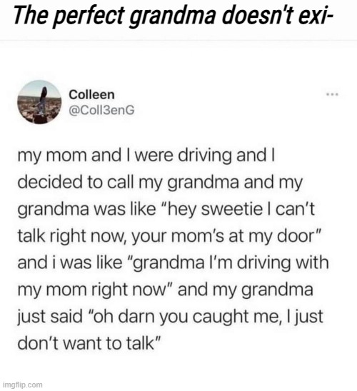 The perfect grandma doesn't exi- | image tagged in funny,tweets | made w/ Imgflip meme maker