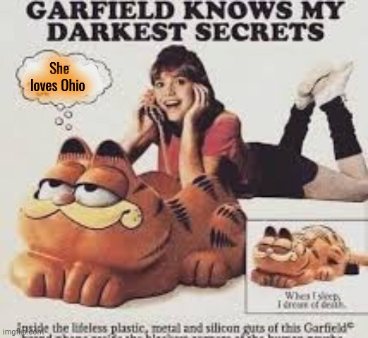 Garfield knows what you did last night... | She loves Ohio | image tagged in garfield,knows what,you did | made w/ Imgflip meme maker