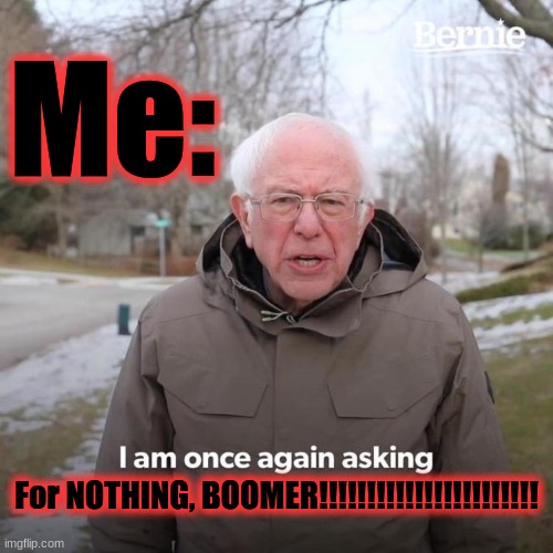 Bernie I Am Once Again Asking For Your Support | Me:; For NOTHING, BOOMER!!!!!!!!!!!!!!!!!!!!!!! | image tagged in memes,bernie i am once again asking for your support | made w/ Imgflip meme maker
