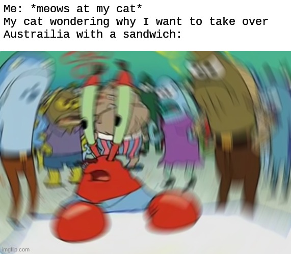Mr Krabs Blur Meme | Me: *meows at my cat*

My cat wondering why I want to take over Austrailia with a sandwich: | image tagged in memes,mr krabs blur meme | made w/ Imgflip meme maker