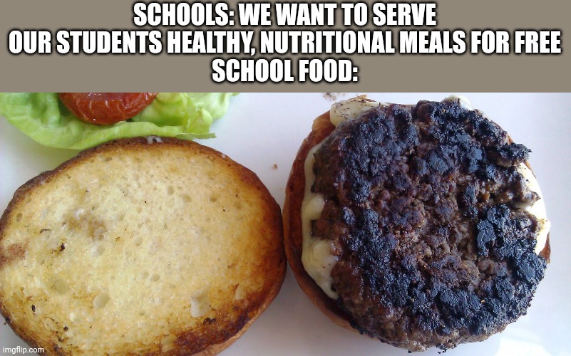 The meat at my school is dark pink TmT | SCHOOLS: WE WANT TO SERVE OUR STUDENTS HEALTHY, NUTRITIONAL MEALS FOR FREE
SCHOOL FOOD: | image tagged in burnt burger | made w/ Imgflip meme maker