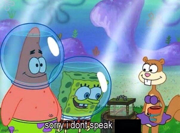 Sorry I don't speak italian | image tagged in sorry i don't speak italian | made w/ Imgflip meme maker