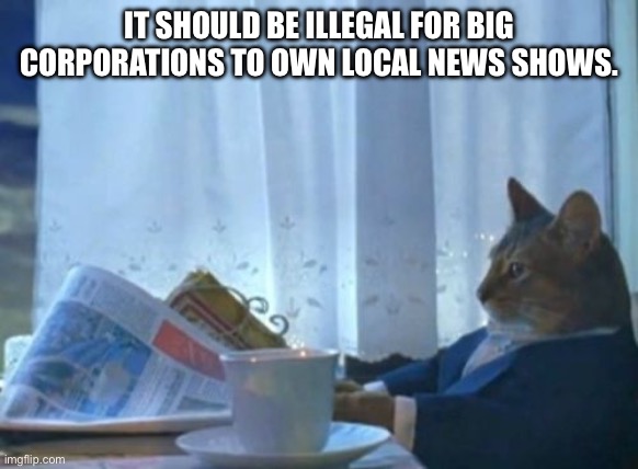 I Should Buy A Boat Cat | IT SHOULD BE ILLEGAL FOR BIG CORPORATIONS TO OWN LOCAL NEWS SHOWS. | image tagged in memes,i should buy a boat cat | made w/ Imgflip meme maker