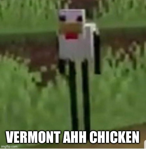 Cursed Minecraft chicken | VERMONT AHH CHICKEN | image tagged in cursed minecraft chicken | made w/ Imgflip meme maker