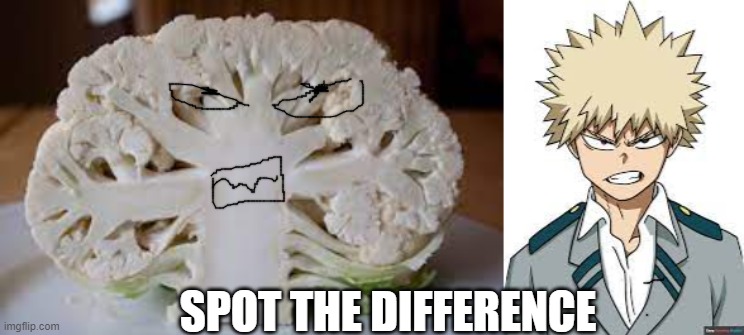 Bakugo and Cauliflower | SPOT THE DIFFERENCE | image tagged in bakugo,my hero academia,anime,spot the difference,funny,memes | made w/ Imgflip meme maker