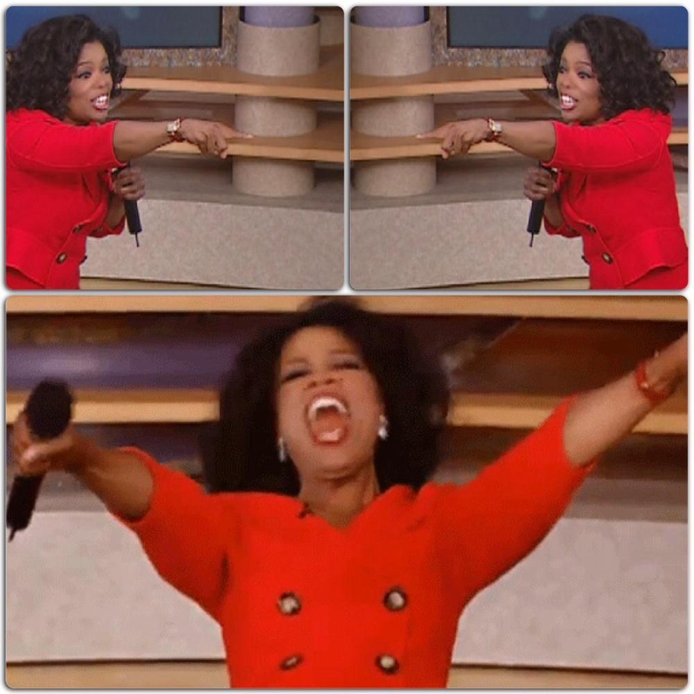 High Quality Oprah "You get x, you get x, everybody gets x!" Blank Meme Template