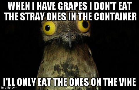 Weird Stuff I Do Potoo Meme | WHEN I HAVE GRAPES I DON'T EAT THE STRAY ONES IN THE CONTAINER I'LL ONLY EAT THE ONES ON THE VINE | image tagged in memes,weird stuff i do potoo | made w/ Imgflip meme maker
