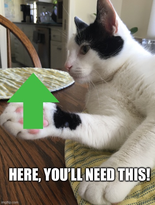 Business cat | HERE, YOU’LL NEED THIS! | image tagged in business cat | made w/ Imgflip meme maker