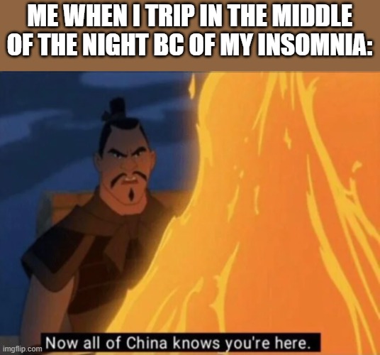 Now all of China knows you're here | ME WHEN I TRIP IN THE MIDDLE OF THE NIGHT BC OF MY INSOMNIA: | image tagged in now all of china knows you're here | made w/ Imgflip meme maker