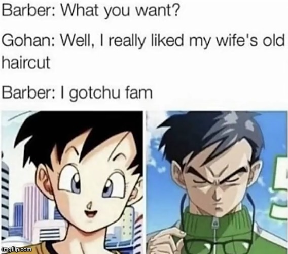 image tagged in dragon ball,gohan,videl | made w/ Imgflip meme maker