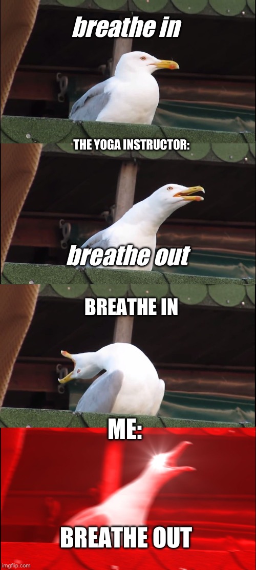 Me when my mum forces me to do online yoga “because it’s good for you” | breathe in; THE YOGA INSTRUCTOR:; breathe out; BREATHE IN; ME:; BREATHE OUT | image tagged in memes,inhaling seagull | made w/ Imgflip meme maker