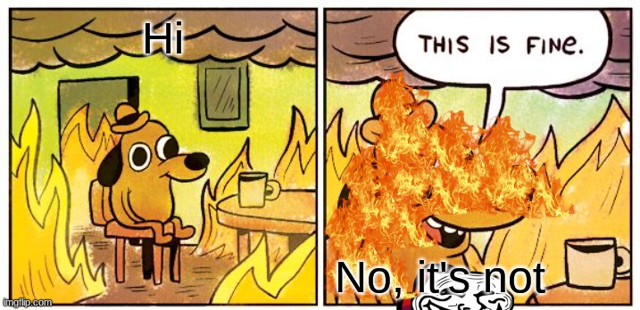 This Is Fine | Hi; No, it's not | image tagged in memes,this is fine | made w/ Imgflip meme maker