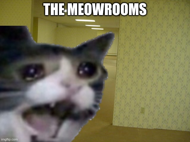 THE MEOWROOMS | made w/ Imgflip meme maker