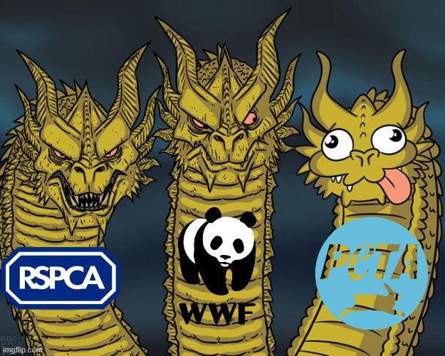 animal rights | image tagged in three-headed dragon | made w/ Imgflip meme maker